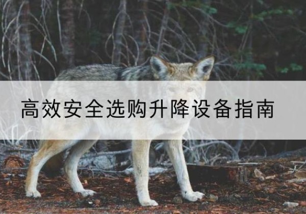高唐升降货梯厂家推荐-*安全选购升降设备指南