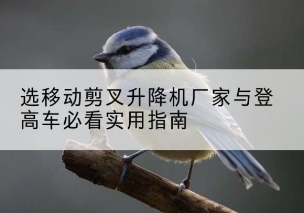 高唐电动升降机厂家-选移动剪叉升降机厂家与登高车必看实用指南