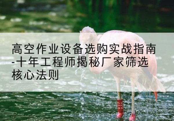 高唐剪叉式升降机厂家-高空作业设备选购实战指南-十年工程师揭秘厂家筛选核心法则